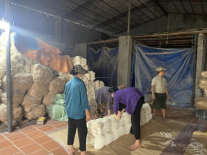 Núcleo de ratán blanqueado vietnamita de 1,5mm, muebles de jardín, materia prima artesanal hecha en Vietnam (Mr.Huy + 84916930070) - Product Image 6