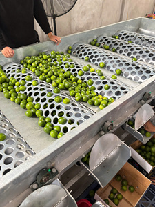 Limones sin Semillas de Vietnam de Primera Calidad, Color Verde Oscuro, Marca TECHMIFOOD (4.5 kg) para Cocinar y Preparar Bebidas - Product Image 5