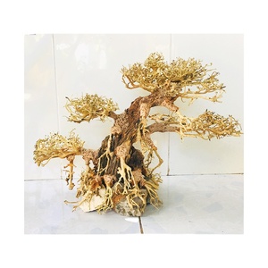 2025 conception chaude de haute qualité bonsaï bois flotté Rectangle forme boîte pour Aquarium décorations accessoires salon bureau directement - Product Image 6