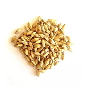 Cereales de Cebada de Alta Calidad, Limpios y Procesados, para Nutrición Ganadera y Fabricación de Alimentos, Fabricación ODM - Product Image 3