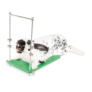 Abridor de Boca Ajustable y Reutilizable para Roedores, Conejos y Animales Pequeños, Especulum Bucal, Instrumentos Veterinarios - Product Image 4