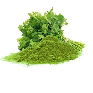 Poudre de coriandre lyophilisée de qualité supérieure, 100% naturelle, épice pure pour la cuisine, assaisonnement, arôme intense, qualité export - Product Image 1