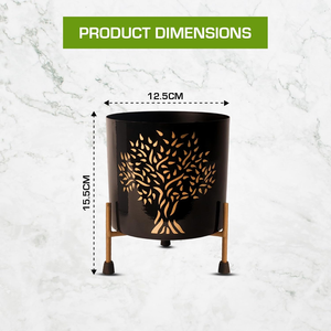 Maceta de Metal Negra con Soporte de Hierro, Maceta Elevada Contemporánea para Plantas de Interior, Suculentas y Decoración Elegante - Product Image 2