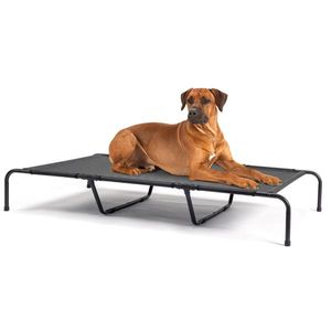 60\"D X 37\"W X 9\"H Dog Bed Comfortable Pet Beds for Puppies and Dogs - Product Image 1