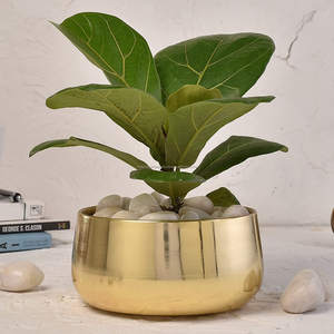 Pot de fleurs en métal décoratif pour plantes d'intérieur et d'extérieur, jardin, balcon, patio et décoration intérieure - Product Image 1