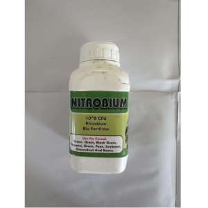 จำหน่ายส่งปุ๋ยชีวภาพนิโตรไบอุม ไรโซไบอุมชนิดน้ำแบบปลดปล่อยควบคุมได้ สำหรับพืชถั่วผลผลิตสูงจากอินเดีย - Product Image 1