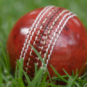 High Quality Leather Cricket Balls For <b>Nets</b> Training And Competitive Matches Built For Stability And Game Consistency - Product Image 4