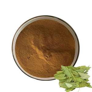 Poudre de feuilles de séné 100 % pure, qualité alimentaire, à base de plantes, fournisseur en gros, favorise le processus de détoxification naturelle et la digestion - Product Image 2