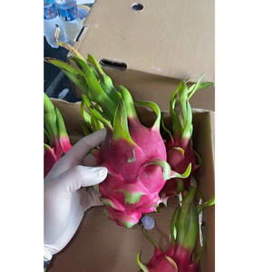 Dragon <span class=keywords><strong>fruit</strong></span> blanc doux, saveur rafraîchissante standard, qualité export OEM, ODM, 100% naturel, frais - Product Image 4