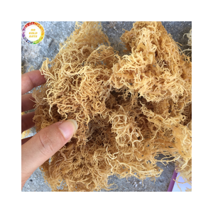 Alga Cottonii Seca Natural, Alga Eucheuma, Materia Prima para la Producción de Carragenano, Suministro a Granel - Product Image 1