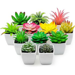 Set di 12 Piante Succulente Artificiali Premium per Interni, Vasi Decorativi con Piante Finte Realistiche per Giardino e Esposizione, Vegetazione di Alta Qualità - Product Image 1