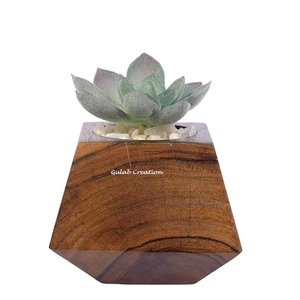 Pots de jardinières succulentes en bois fabriqués à la main Mini porte-plantes écologiques pour bureau intérieur, fenêtre et décoration intérieure - Product Image 1