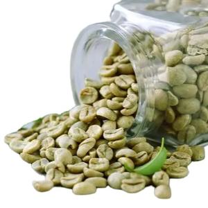 กาแฟถั่วเขียวรสใหม่ 2024 - เมล็ดกาแฟพรีเมี่ยมโรบัสต้า/อาราบิก้า - ขายดีที่สุดในราคาที่ดี - บรรจุเป็นกลุ่ม - Product Image 3