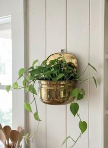 Macetero Metálico de Diseño Moderno para Sala de Estar, Decoración Interior con Suculentas y Arreglos Florales - Product Image 4