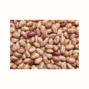 Frijoles Pinto Negros Naturales de Alta Calidad Sin OMG a Granel de Uzbekistán, Rojos Secos - Product Image 1