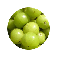 Poudre d'Amla (Gooseberry Indien) Biologique Certifiée, Triple Tamisage, Riche en Vitamine C, Couleur Brunâtre, Marque Indalo, Emballage Aluminium Zip