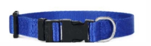 Collar de Nailon Colorido para Perros, para Uso Diario y Entrenamiento, de Divine International - Product Image 2