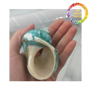 Porte-serviettes en coquillage de conque, moderne, luxueux, écologique, durable, pour la maison, la plage, l'hôtel, la station balnéaire, 99 GOLD - Product Image 1