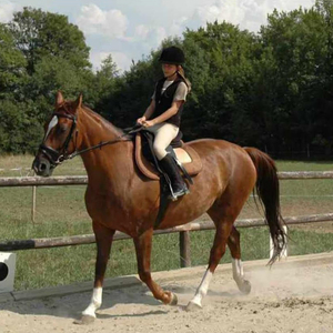 Estribos de Alta Resistencia para Montar a Caballo, Estribos de Aluminio Fundido a Presión, Estribos de Jockey Occidentales, Estribos para Montar a Caballo al Estilo Inglés, Resistencia Superior - Product Image 6