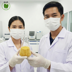 สินค้าขายดี ผงสกัดสมุนไพรไทยออร์แกนิคบริสุทธิ์ 80% MIT เกรดยา บรรจุภัณฑ์สุญญากาศ ปลูกแบบควบคุมสภาพแวดล้อมในประเทศไทย - Product Image 2