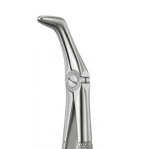 Forceps d'extraction Fig. 47 "Motif anglais" |   Acier inoxydable de qualité supérieure - Product Image 2