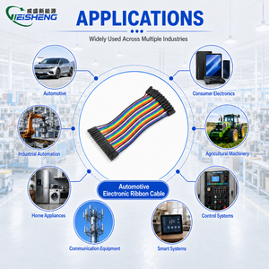 كابل رقمي من نوع PVC من Weisheng 2024+ 3C، موصل نحاسي، أنثى-أنثى/ذكر-ذكر/ذكر-أنثى، 10/20/30/40 سم، 40 دبوس - Product Image 2