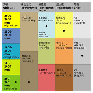 Thé vert taïwanais de qualité supérieure, conforme aux normes américaines et européennes, au goût doux, sans arômes ajoutés et à l'arôme naturel du thé. - Product Image 2