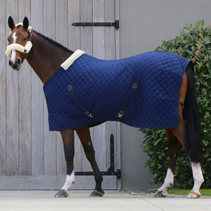2026 Best Quality Winter Horse Stable <b>Rugs</b> Custom Cotton Blankets with Fur Lining, Warm Durable Stable Horse <b>Rug</b> Designs - Product Image 1