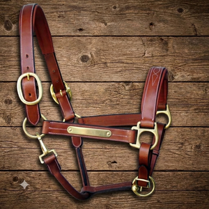 Custom Made Fancy Stitched Brown Premium Leather Horse Halter with Soft Padding and Personalized Brass <b>Name</b> <b>Plate</b> Halter Horse - Product Image 3