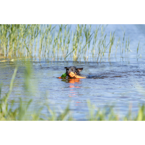 ของเล่นสัตว์เลี้ยงโพลีเอสเตอร์รูปเป็ดขนาด 50 ซม. - Product Image 4