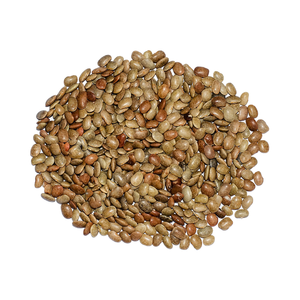 Gramínea de caballo de calidad premium para exportación, entera o dividida, limpiada y clasificada, suministro a granel, legumbres nutritivas ideales para cocinar y saludables - Product Image 1