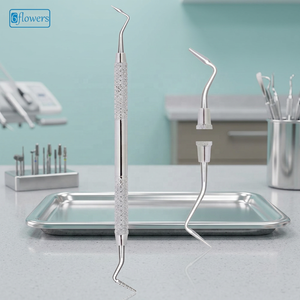 Instrumento de Limpieza y Relleno con Sonda de Acero Inoxidable, Clase I, Certificado CE, Uso Manual - Product Image 2