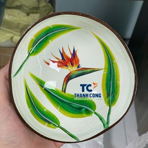 Cuenco de Cáscara de Coco Lacado Pintado a Mano por Artesanos Vietnamitas, Cuenco de Recuerdo Tropical Ecológico de Primera Calidad, Cuenco de Resina de Lujo - Product Image 1