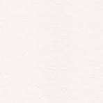 Or blanc 14K