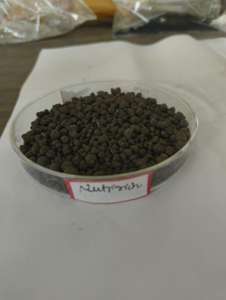 ปุ๋ยอินทรีย์ผงนูทริริช NPK ผลิตในอินเดีย สำหรับการเกษตรและพืชสวน จัดจำหน่ายทั่วโลก - Product Image 2