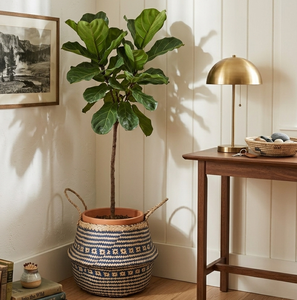 Woven <b>Belly</b> <b>Basket</b> Nursery Storage <b>Basket</b> Planter <b>Basket</b> Coastal <b>Basket</b> Minimalist Storage <b>Basket</b> Collapsible Storage <b>Basket</b> - Product Image 3