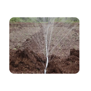 Tubería de Riego por Microaspersión Resistente a los Rayos UV, Manguera de Riego de PE para Agricultura, Ahorro de Agua, Sistema de Riego para Jardín de Verduras - Product Image 5