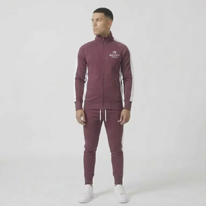 Vente flash - Ensemble de survêtement Rexfit pour homme, hiver, fermeture éclair intégrale, grande taille, logo personnalisé, pantalon de survêtement, streetwear, extensible dans quatre directions, haute qualité - Product Image 1