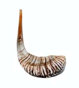 Shofar de Cuerno de Búfalo Natural de Alta Demanda, Tendencia Actual, para Soplar en la Vida Diaria, Kosher, Impermeable, Hecho a Mano, Artesanía Atemporal - Product Image 3