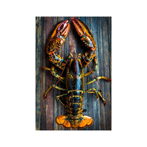 Seafood Tools Lobster Crackers <b>Crab</b> Crackers Nut Crackers Tool with Heavy Duty Chrome Plated Zinc Alloy - Product Image 6