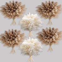 Dekorasi Rumah Boho Rumput Pampas Kering Alami Buket Bunga Kering Terawetkan 96/100/220pcs DIY Rangkaian Bunga Pernikahan