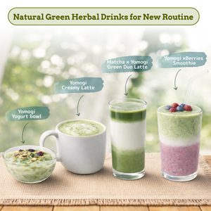 Nouvelle Poudre de Feuilles d'Armoise Japonaise Bio Infusée à la Vapeur, Thé Santé Bien-être, Ingrédient Naturel, Latte Vert, Sachet en Vrac, Yomogi BLESS - Product Image 4