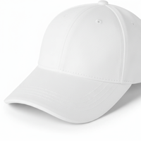 Erkek Şapkası Düşük Minimum Sipariş Adedi Özel Beyzbol Şapkası 3D Nakış Logolu Sade Gorras Spor Şapka Ayarlanabilir Günlük Stil OEM Tedarikçisi
