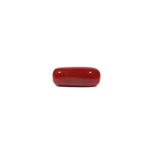 Natural Red Coral Oval Cabochon Loose Gemstone 5.56 Carat Certified Wholesale - Product Image 1