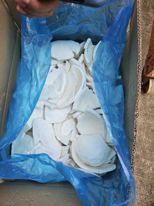 Vente en gros de chair de noix de coco surgelée IQF avec fraîcheur naturelle et standards de qualité d'exportation cohérents - Product Image 3