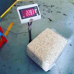 Proveedor de anacardos AA de grado premium orgánico de alta calidad que ofrece anacardos crudos - Product Image 4