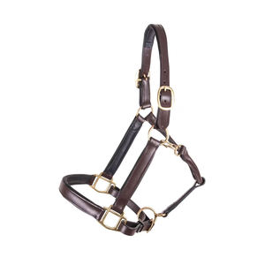 Brida de cuero occidental premium ajustable y duradera para entrenamiento y exhibición de caballos, brida de polo genuina para caballo - Product Image 1
