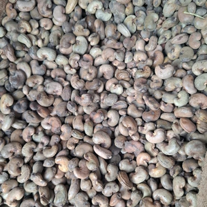 COQUILLE DE NOIX DE CAJOU BRUTE AU MEILLEUR PRIX-BIOCARBURANT NATUREL ET MATIÈRE PREMIÈRE INDUSTRIELLE DU VIETNAM - Product Image 5