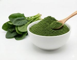 Poudre d'épinards séchée par pulvérisation 100 % pure, biologique, sans OGM, extrait de feuilles, excellente solubilité dans l'eau pour les nutraceutiques santé en gros - Product Image 6