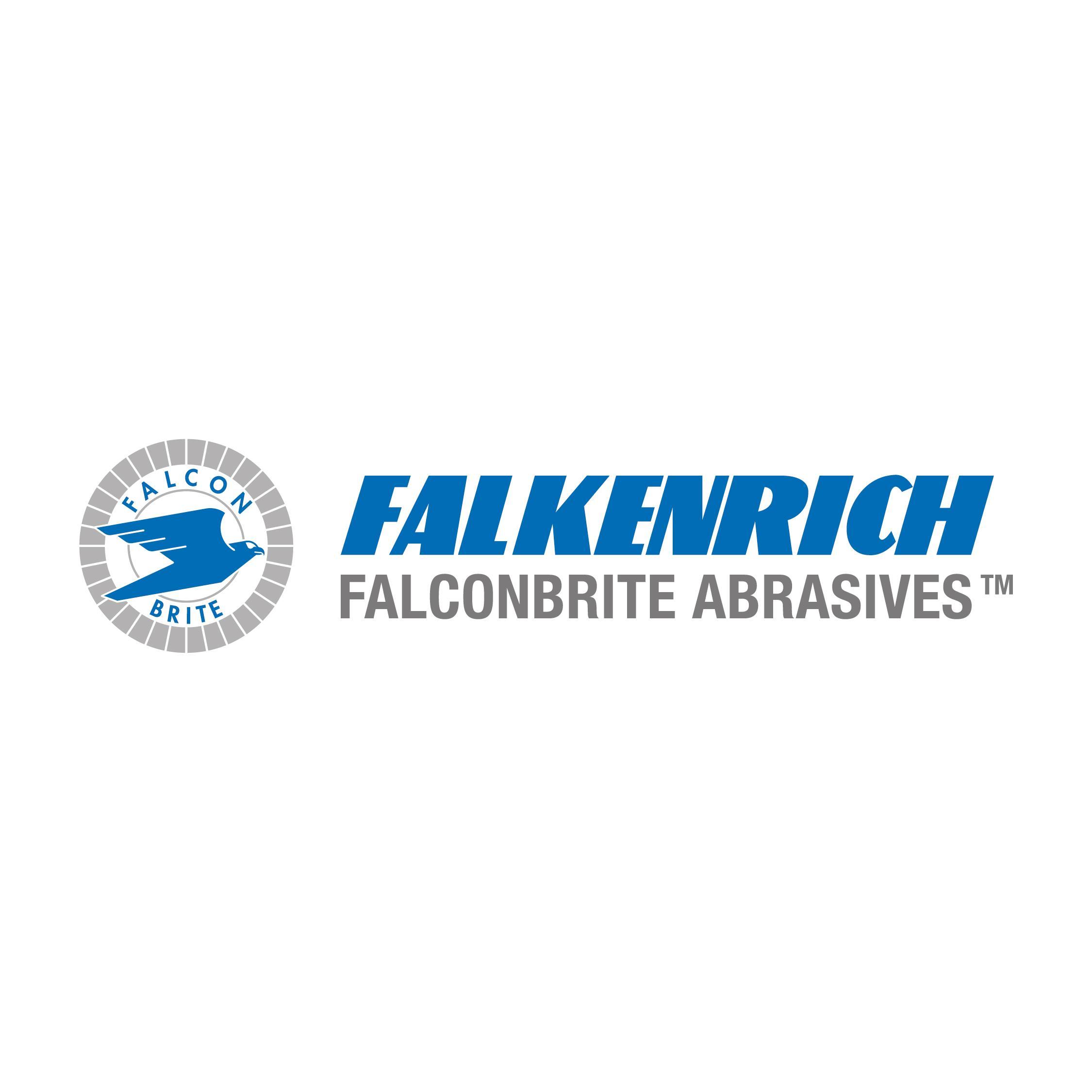 Falkenrich GmbH logo